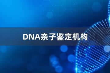 咸宁DNA亲子鉴定机构